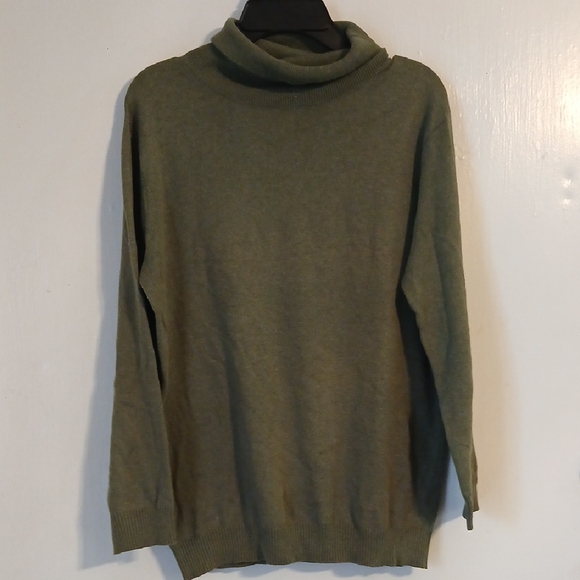 BCBGMaxAzria Turtleneck‎ Sweater in Green Knit - Picture 1 of 5